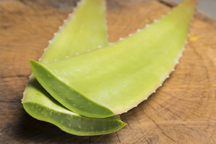 BEAUTYmylife - Ο Ιπποκράτης & ένα θαυματουργό φυτό γέννησαν την pandrosia!