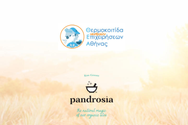 pandrosia -  Θ.Ε.Α - Δίκτυο Επιχειρηματικών Αγγέλων