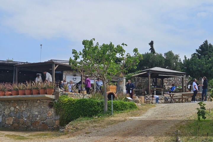 KosTV - Ένα ευχάριστο σαββατιάτικο πρωινό, με τη γνωριμία των νέων προϊόντων της Pandrosia!