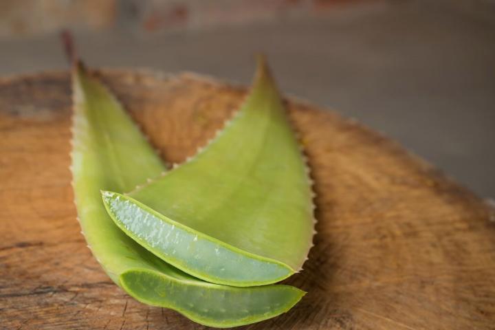 Τέσσερα είναι τα βασικά συστατικά για την υγεία του ανθρώπου, τα δημητριακά, το σταφύλι, η ελιά και η αλόη.