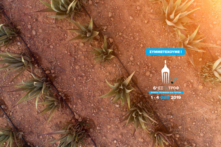 Δημοσίευμα από το Βήμα της Κω για την ΕΞΠΟΤΡΟΦ 2019